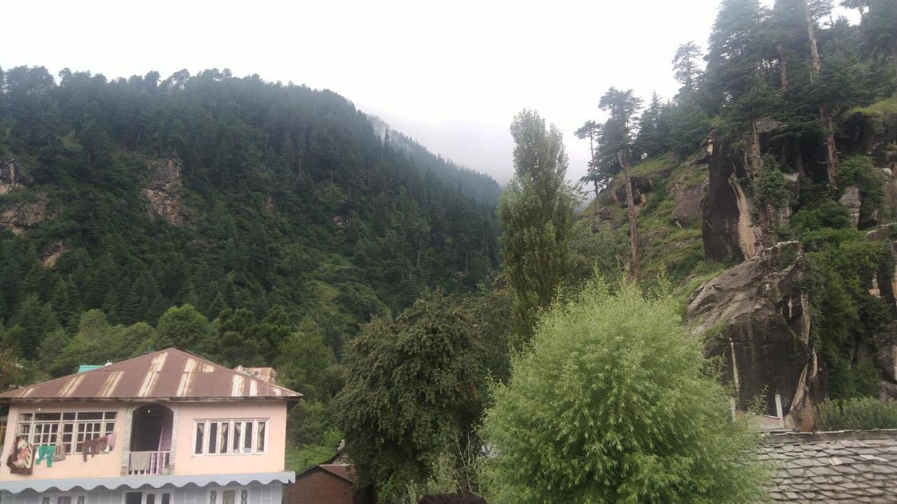 Mountain Sight Cottege - Manali (Himachal Pradesh), Manali